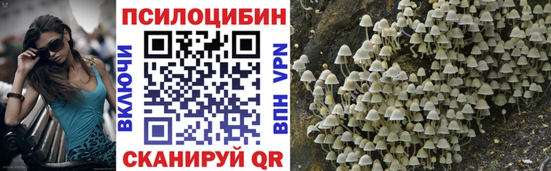 купить наркотик  Тверь  Галлюциногенные грибы Magic Shrooms 